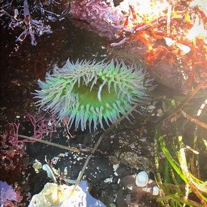 Meet your Posher, Mackensie